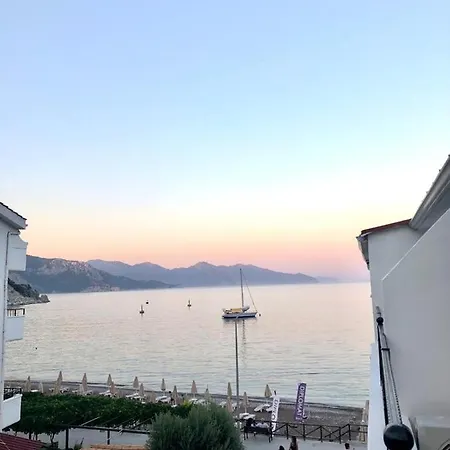 Pisces Turunç